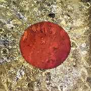 ML ART - Michael Lange - Aldebaran   50x50cm