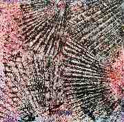 ML ART - Michael Lange - Never again...   50x50cm
