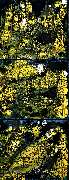 ML ART - Michael Lange - Ruins (Trilogy)   30x75cm