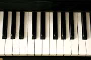 ML Online-MusikSchule, MMag. Mirco Lieber - GALLERY