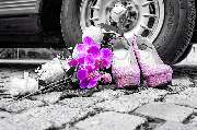 MLsFotoArt - GALLERY