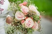 MLsFotoArt - GALLERY