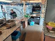 mobile-pizzeria.de - GALLERY