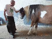 mobile Tierheilpraxis im Harz - GALLERY