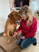 Mobile Tierheilpraxis und Tierphysiotherapie Kerstin Junge - 3