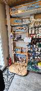 Modellbau Skeries - GALLERY