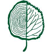 Möhle Baumpflege - LOGO