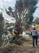 Mohaupt & Staudinger GbR - 16