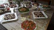MOKKA - Restaurant & Catering - GALLERY