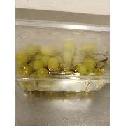 monapelkalivefit - LOGO