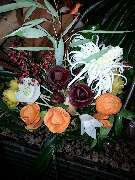 Monheimer Gastro- & Catering Service - GALLERY