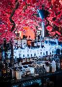 Moonlight Restaurant - GALLERY