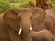 MOSKITO Adventures Reisen | Wanderreisen und Erlebnisreisen in Europa, Asien & Afrika - GALLERY