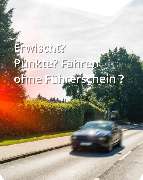 MPU 360 Grad - GALLERY