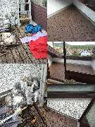 MS Montagen GmbH / Platzprofi - GALLERY