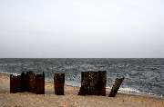 MSG72 Photography - 111