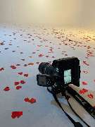 MSG72 Photography - 13