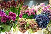 Müßig Blumen - GALLERY