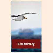 Müther - Bestattungen Inh. Andrea Wellenbrink - GALLERY