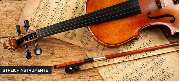 Musik Wittl - GALLERY