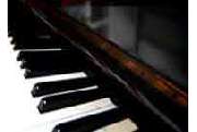 Musikschule Neue Schule für Musik - GALLERY