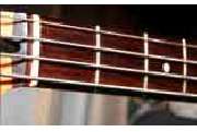 Musikschule Neue Schule für Musik - GALLERY