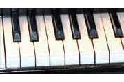Musikschule Neue Schule für Musik - GALLERY