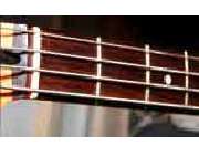 Musikschule Neue Schule für Musik - GALLERY