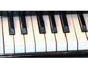 Musikschule Neue Schule für Musik - GALLERY