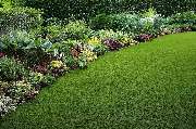 Mutter Gartenbau - GALLERY