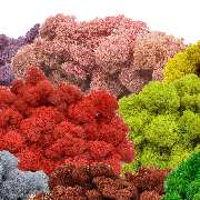 Muwse Bettina Bunzel - GALLERY