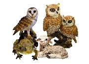 Muwse Bettina Bunzel - GALLERY