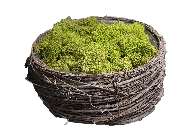 Muwse Bettina Bunzel - GALLERY