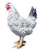 Muwse Bettina Bunzel - GALLERY