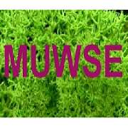 Muwse Bettina Bunzel - LOGO
