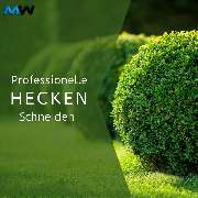 MW Hausmeister & Reinigungsservice - 5