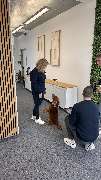 mx-itsolutions GmbH - GALLERY