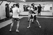 N-Boxing Academy (Boxen & Kickboxen in Hagen) - GALLERY