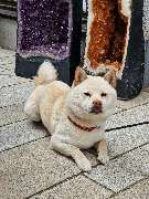 N-G-L-Shop - GALLERY