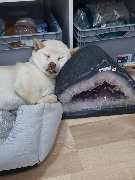 N-G-L-Shop - GALLERY