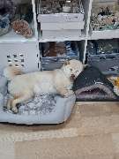 N-G-L-Shop - GALLERY