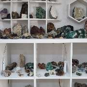 N-G-L-Shop - GALLERY