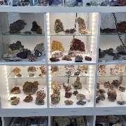 N-G-L-Shop - GALLERY