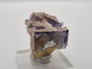 N-G-L-Shop - GALLERY