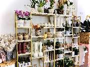 NABLOOM 2 - Blumensortiment beo Na'Bloom