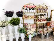 NABLOOM 2 - Blumensortiment beo Na'Bloom