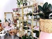 NABLOOM 2 - Decoartikel, Blumenvasen, Zimmerpflanzen bei Na'Bloom