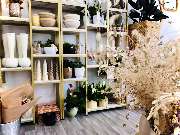 NABLOOM 2 - Decoartikel und Trockenblumen bei Na'Bloom