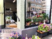 NABLOOM 2 - Haupteingang, Blumensträuße bei Na'Bloom