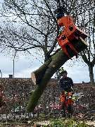 Nadrowski Baumdienst - 13